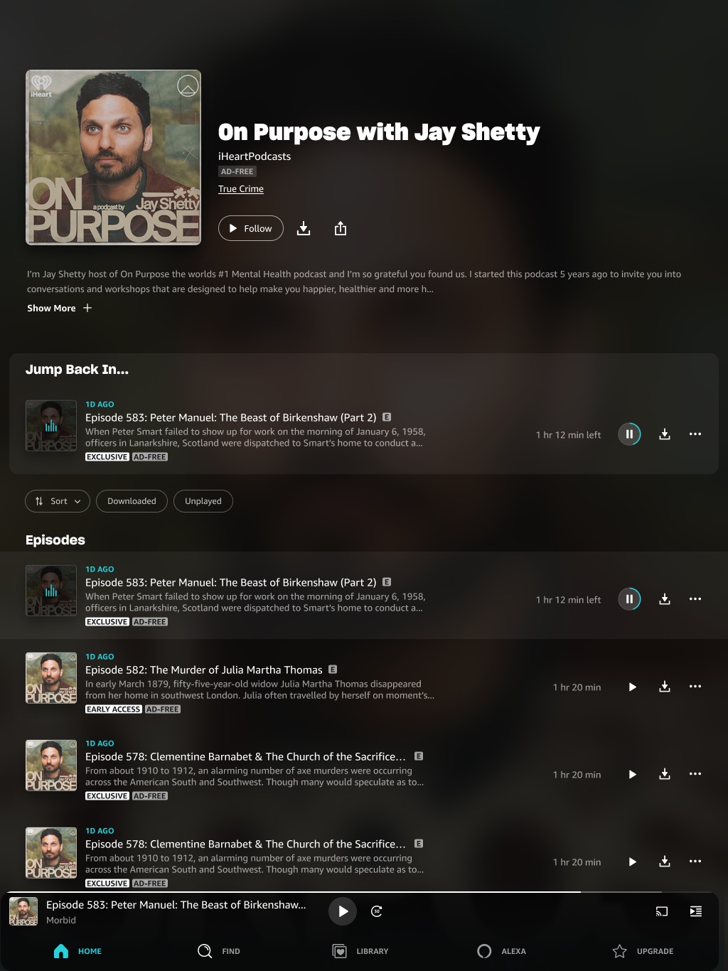 Alt show treatment · On Purpose with Jay Shetty on iPad Pro 12.9″ portrait