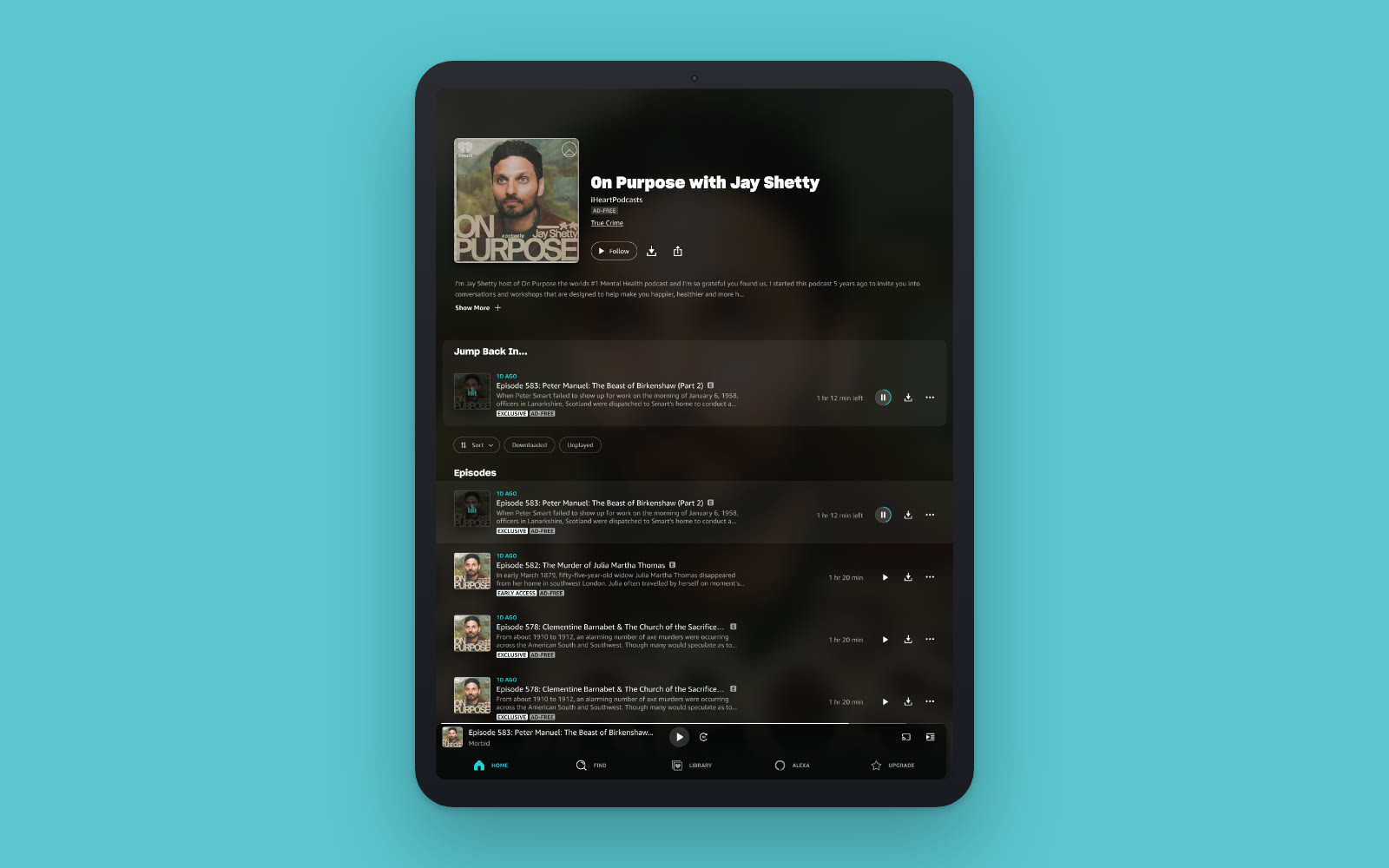 Amazon Music · Music & Podcasts design system on iPad portrait